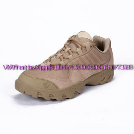 Wholesale Retail ESDY Army Outdoor Sport Climbing Nylon Low Upper Tactical Shoes